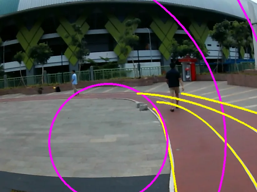 Curvature circles fitted to the lane lines, showing how sharply the track bends